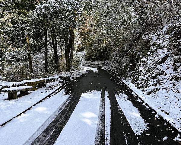 【追雪.賞雪.看看合掌造】走走郡上八幡城.兼六園.永平寺.金