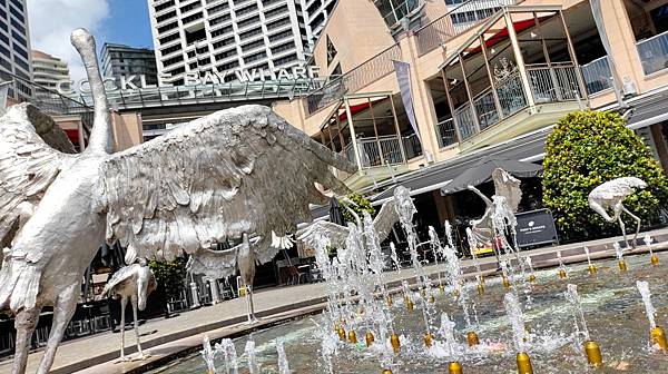 【雪梨必訪】達令港.Darling Harbour.雪梨港S