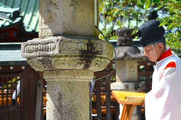 【日本關東賞櫻行】十間橋.成田櫻山公園.冰川神社.吉祥寺.新