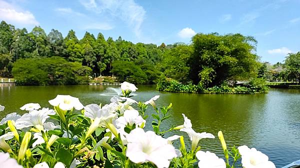 【好友相約馬國碰】之流連忘返南洋行-吉隆坡植物園Perdan