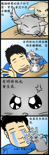 Chinchilla Diary 4