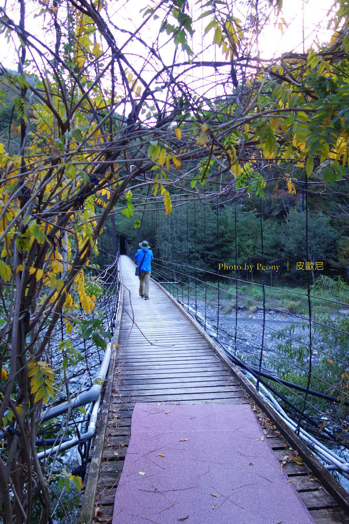 DSC02760---.jpg DSC02760---.jpg