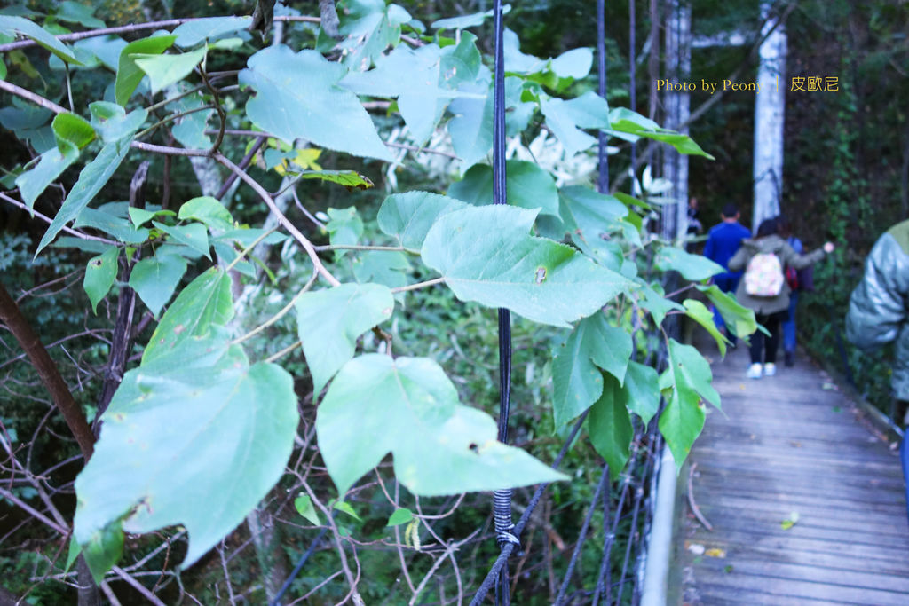 DSC02790---.jpg DSC02790---.jpg