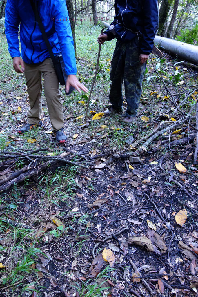 DSC02817---.jpg DSC02817---.jpg
