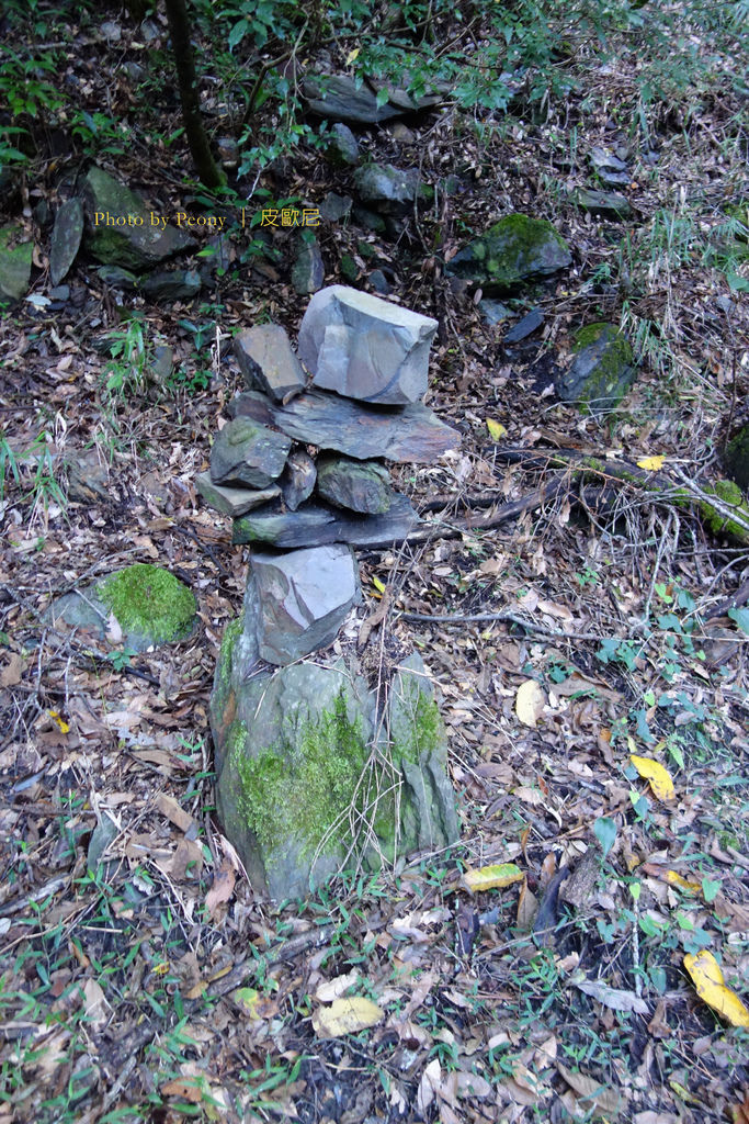 DSC02826---.jpg DSC02826---.jpg