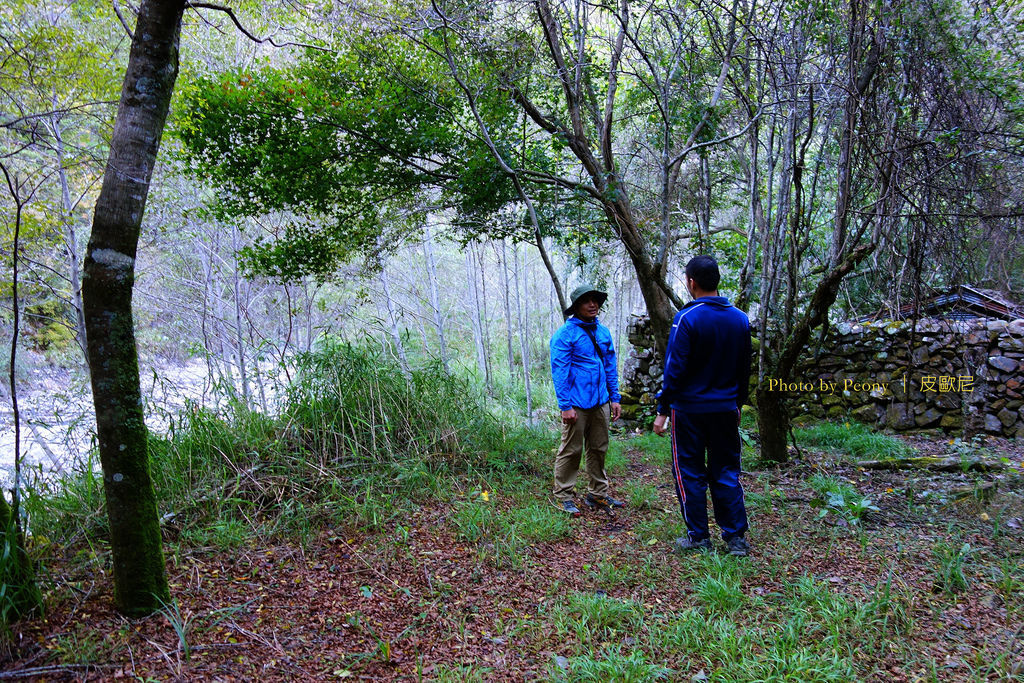 DSC02896---.jpg DSC02896---.jpg