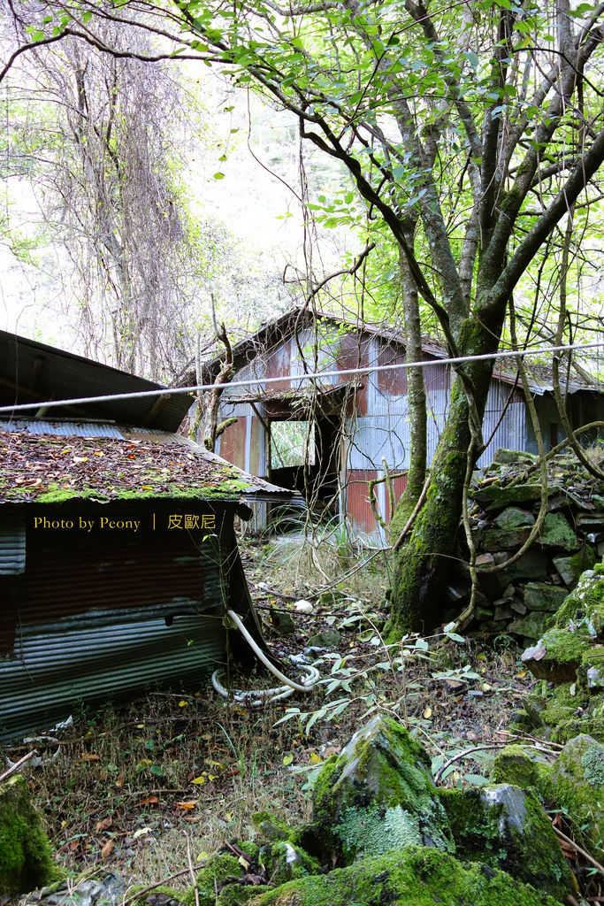 DSC02954---.jpg DSC02954---.jpg