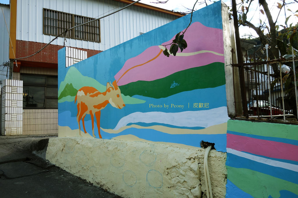 DSC03246---.jpg DSC03246---.jpg