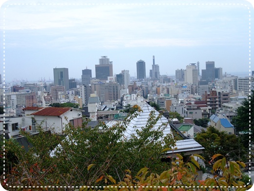DSCF8516.jpg DSCF8516.jpg