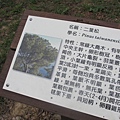 坪林森林公園