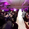 Wedding_323.JPG