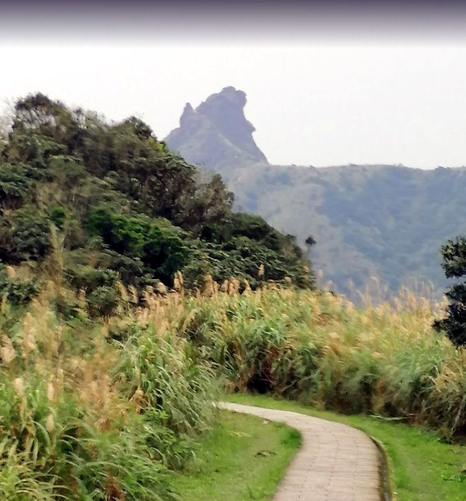 新北市景點『無耳茶壺山』