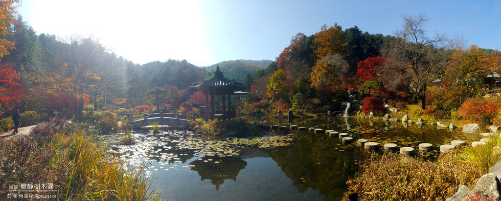 【首爾自由行】《晨靜樹木園》