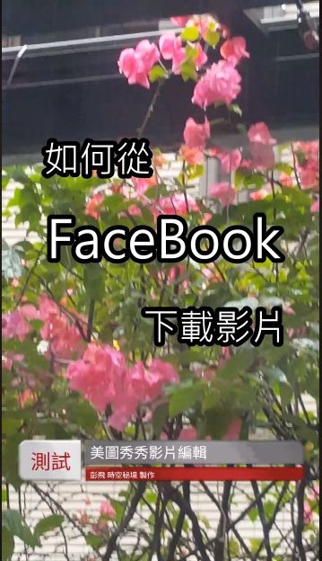 如何下載 Facebook 影片?不必安裝程式,簡單好用~~ 如何下載 Facebook 影片?不必安裝程式,簡單好用~~