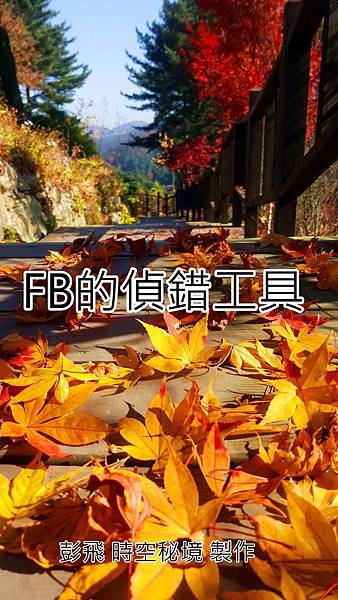 20191108_112614_副本.jpg 20191108_112614_副本.jpg