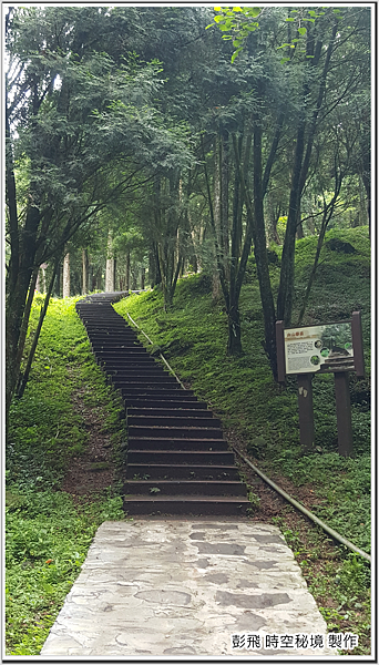 東眼山國家森林遊樂區