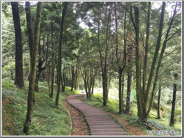東眼山國家森林遊樂區 東眼山國家森林遊樂區