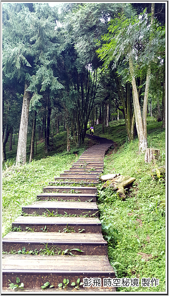 東眼山國家森林遊樂區 東眼山國家森林遊樂區