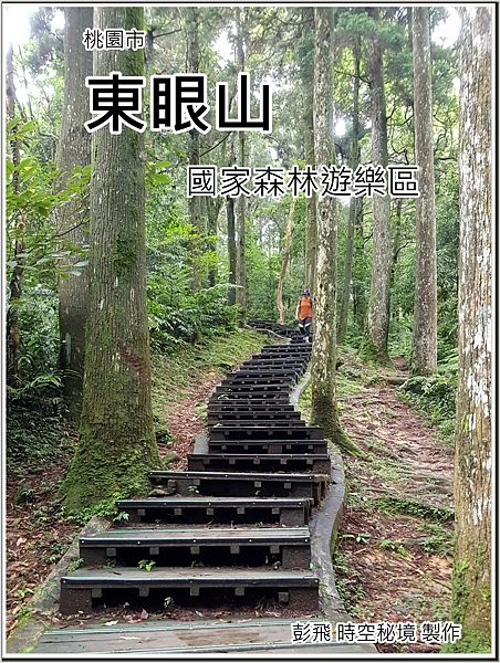 東眼山國家森林遊樂區 東眼山國家森林遊樂區