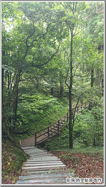 東眼山國家森林遊樂區