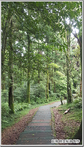 東眼山國家森林遊樂區 東眼山國家森林遊樂區