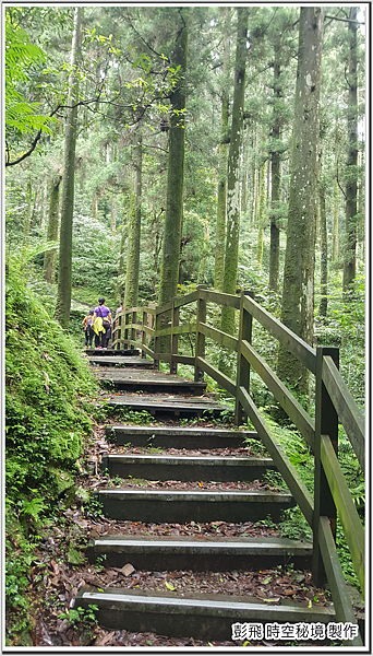 東眼山國家森林遊樂區 東眼山國家森林遊樂區