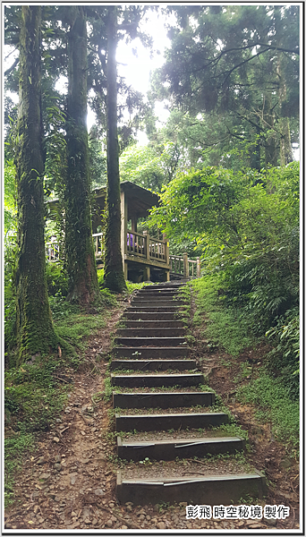 東眼山國家森林遊樂區