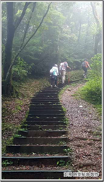 東眼山國家森林遊樂區 東眼山國家森林遊樂區