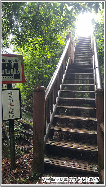 東眼山國家森林遊樂區 東眼山國家森林遊樂區
