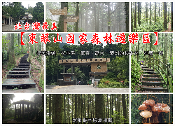 東眼山國家森林遊樂區 東眼山國家森林遊樂區