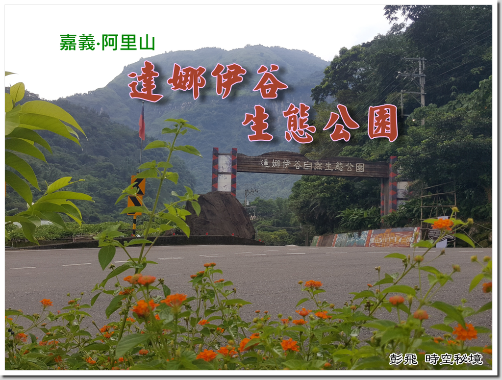 《達娜伊谷自然生態保育公園》《嘉義美景》阿里山鄉的世外秘境~