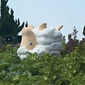 陽明山之旅_RIMG0007