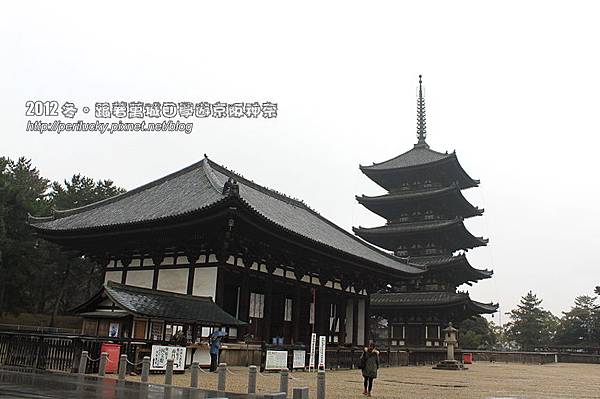 51.東金堂與五重塔 51.東金堂與五重塔
