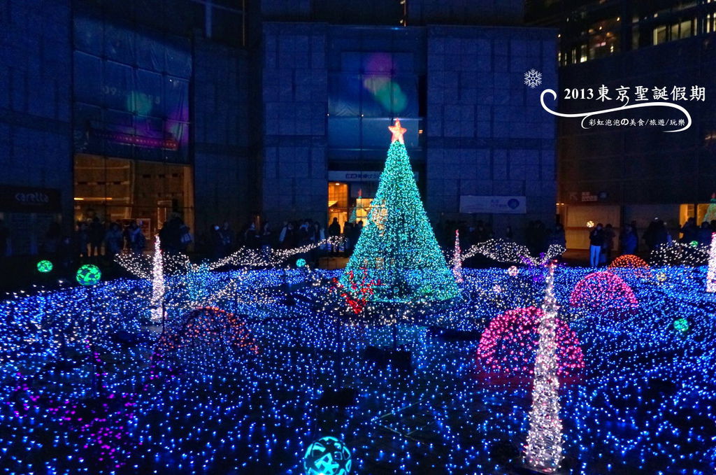 173.Caretta Illumination 2013