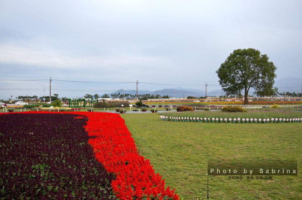 19.2014新社花海-精緻草花區