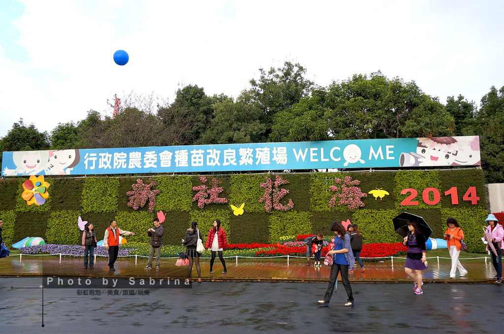 1.2014新社花海 1.2014新社花海