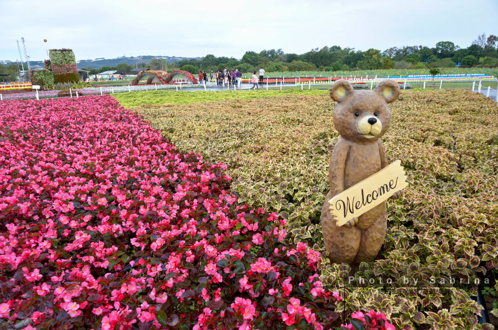 33.2014新社花海-精緻草花(彩色拼盤)