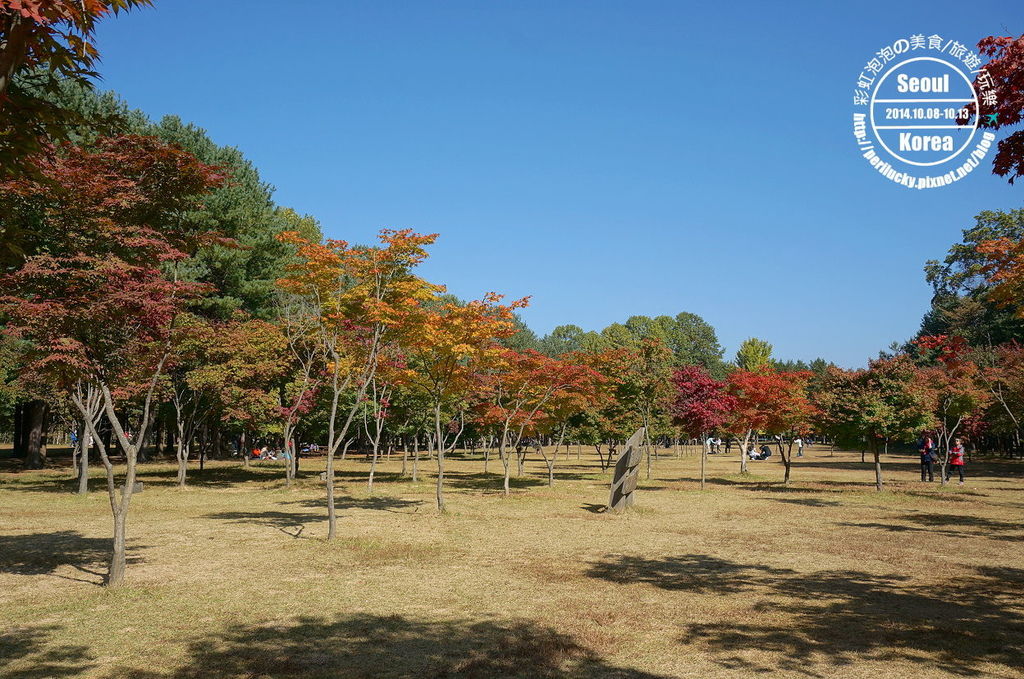 58.南怡島