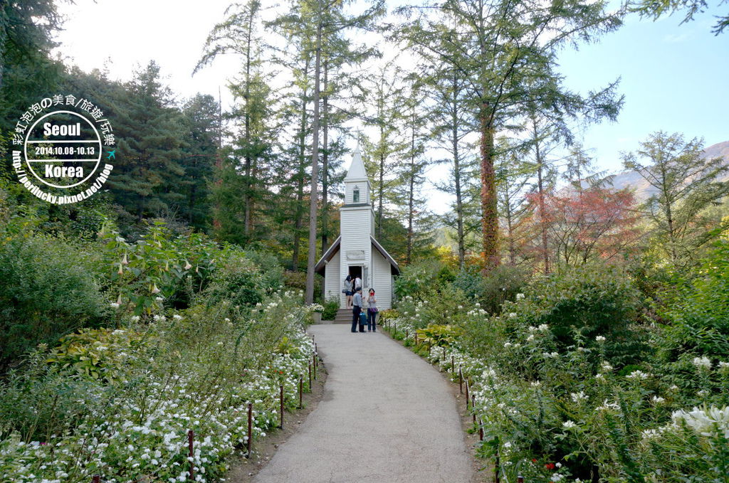 113.晨靜樹木園-月光庭園 113.晨靜樹木園-月光庭園