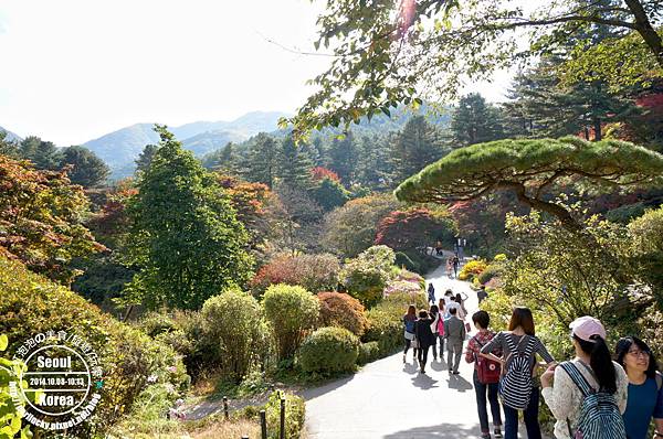 118.晨靜樹木園