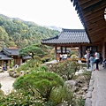 156.晨靜樹木園-韓國庭園