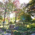 170.晨靜樹木園-石庭園