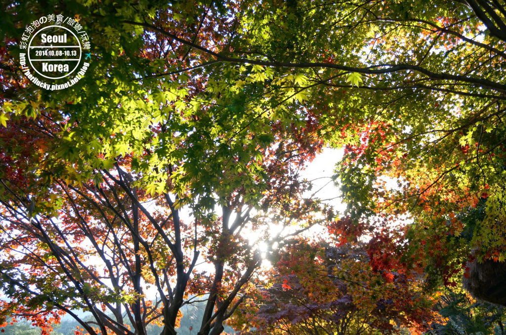 168.晨靜樹木園