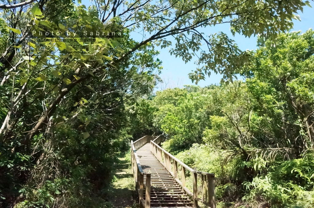 3.旭海草原