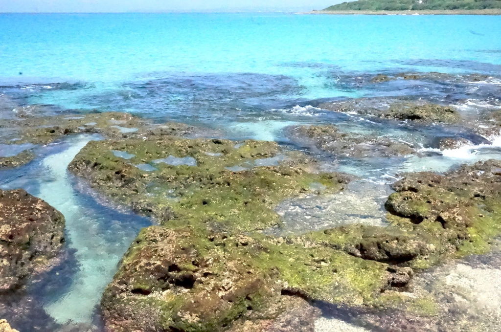 14.砂島 14.砂島