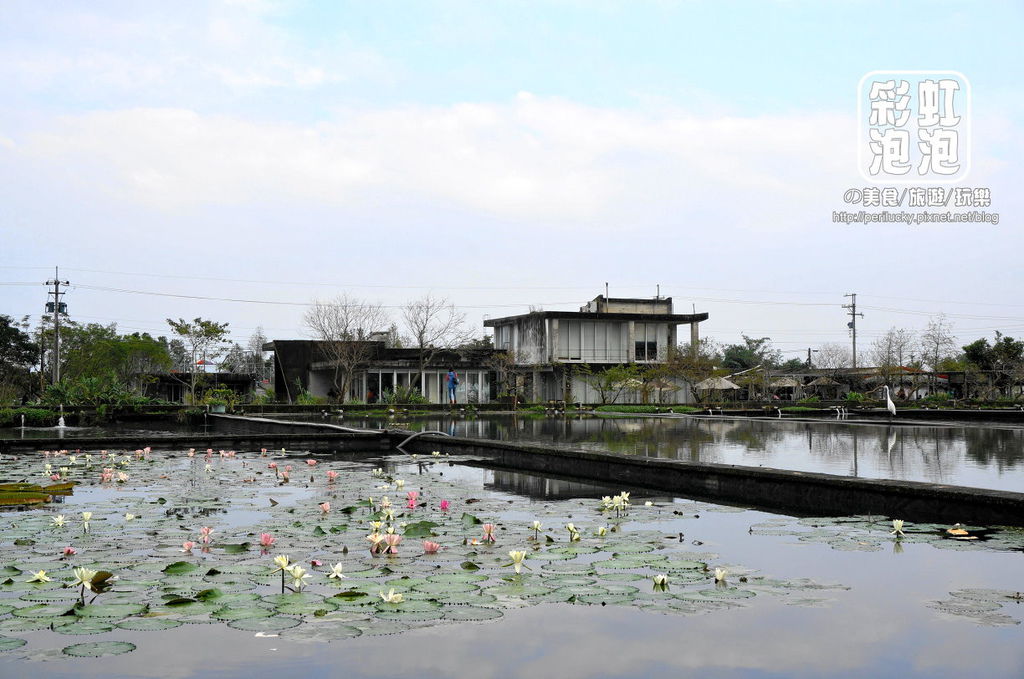 21.勝洋水草休閒農場-水草養殖區.jpg