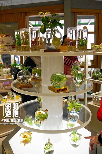 18.勝洋水草休閒農場-水草精品館.jpg