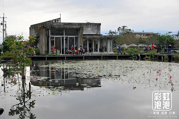 20.勝洋水草休閒農場-水草養殖區.jpg