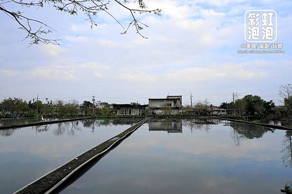 23.勝洋水草休閒農場-水草養殖區.jpg