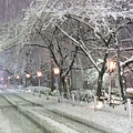 45.京都暴雪.jpg